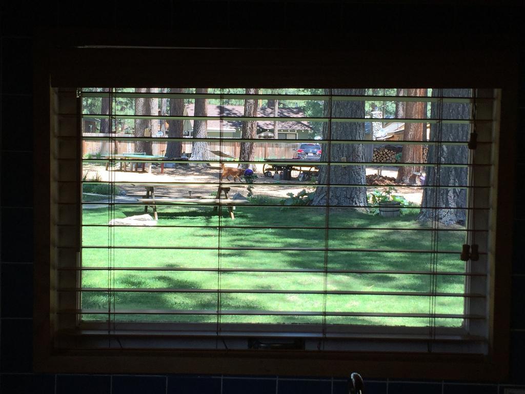 Holly'S Place South Lake Tahoe Quarto foto